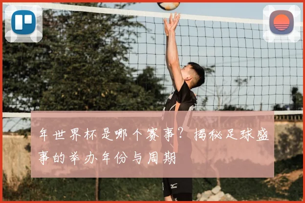 年世界杯是哪个赛事？揭秘足球盛事的举办年份与周期