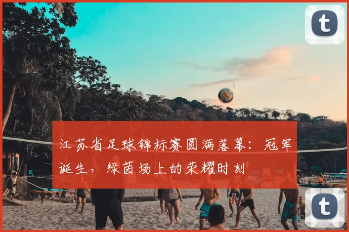 江苏省足球锦标赛圆满落幕：冠军诞生，绿茵场上的荣耀时刻