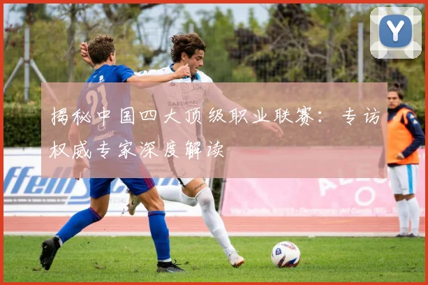 揭秘中国四大顶级职业联赛：专访权威专家深度解读